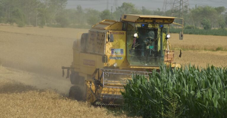how-to-maximize-altcoin-returns-with-yield-farming